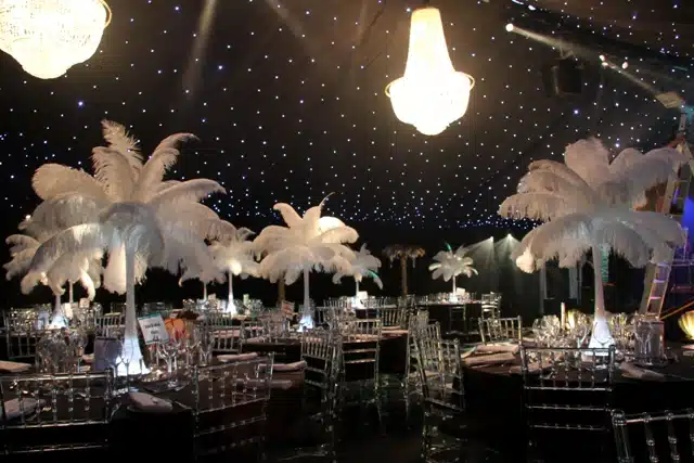 15m Party marquee with star cloth