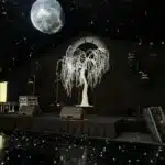 Themed party marquee