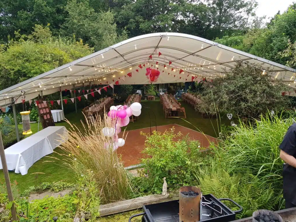 Canopy festoon